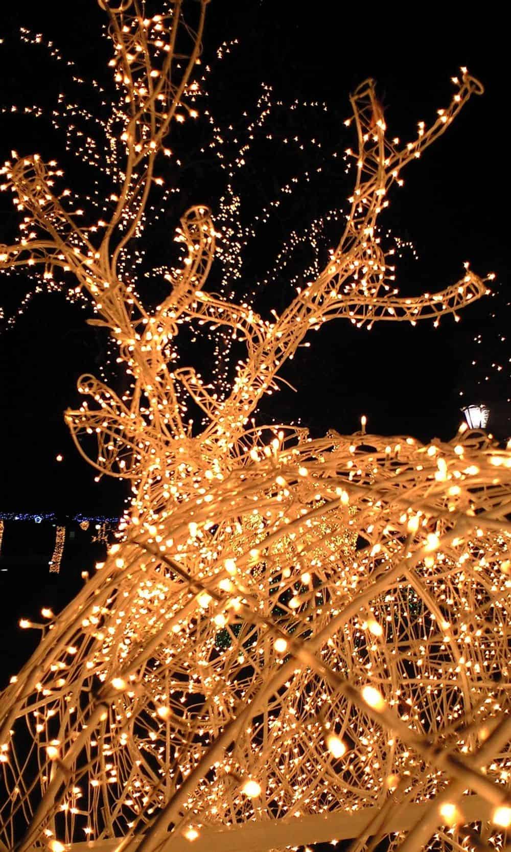 Holiday Lights Installation image