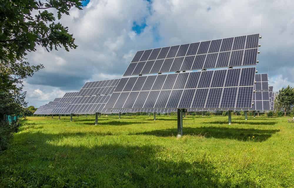 Bird Proof Solar Panel Services image