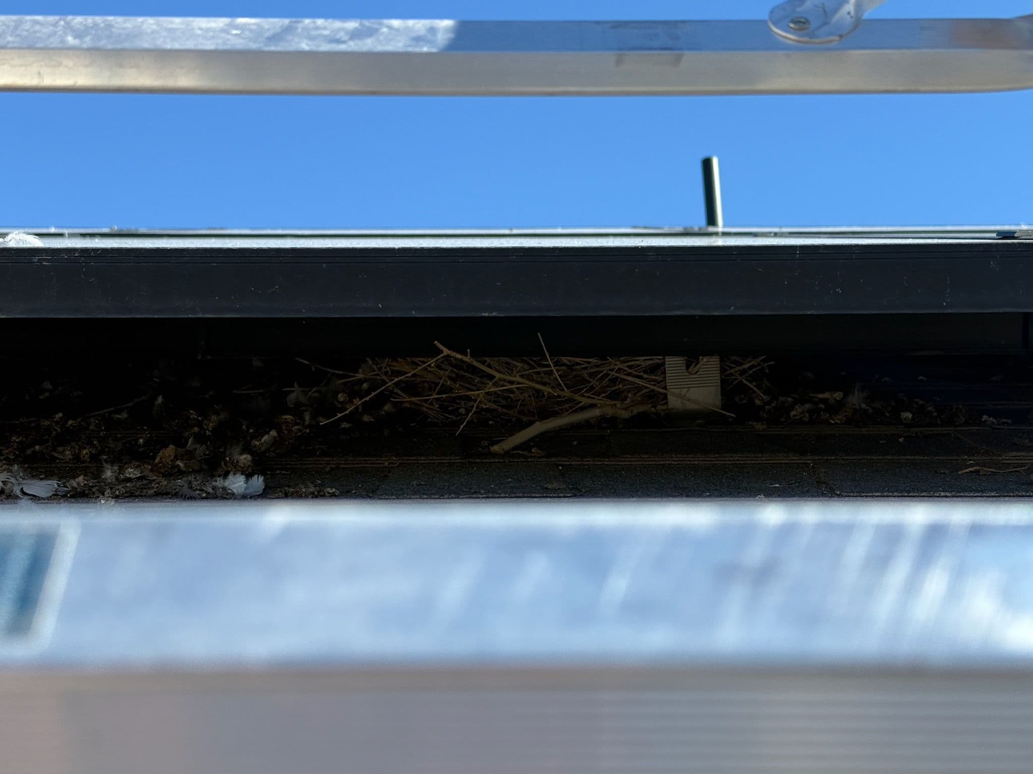 Project Effective Bird Proofing Solutions for Cleaner Solar Panels image