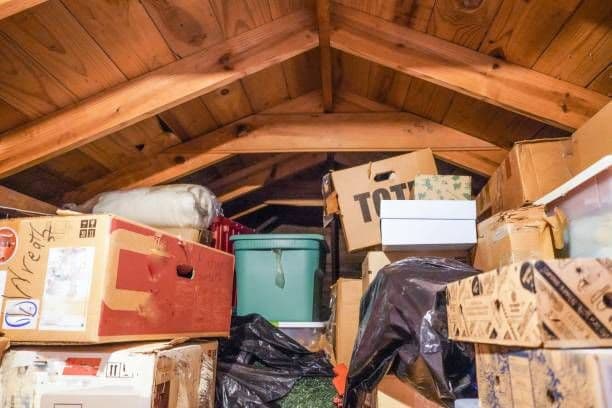 Project Effortless Junk Removal for a Spacious Home image